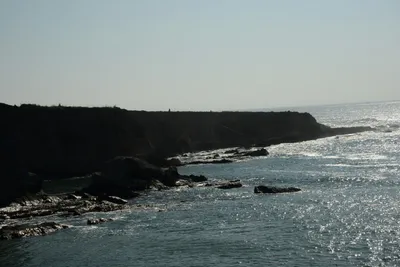 DSC_2715 (Large).JPG